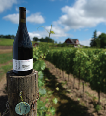 Shipping + Curbsite Pickup